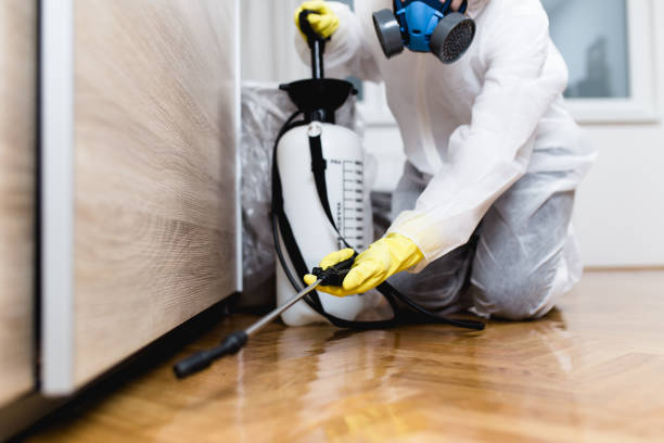 Best Pest Prevention Services  in Berea, SC